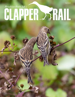 Fall 2020 Brooklyn Bird Club’S the Clapper Rail Fall 2020 Inside This Issue