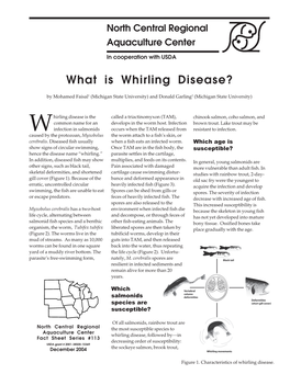 What Is Whirling Disease?