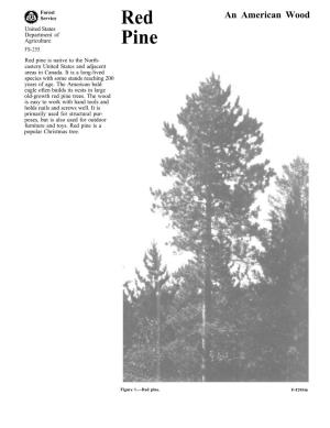 Red Pine Is Native to the North- Eastern United States and Adjacent Areas in Canada