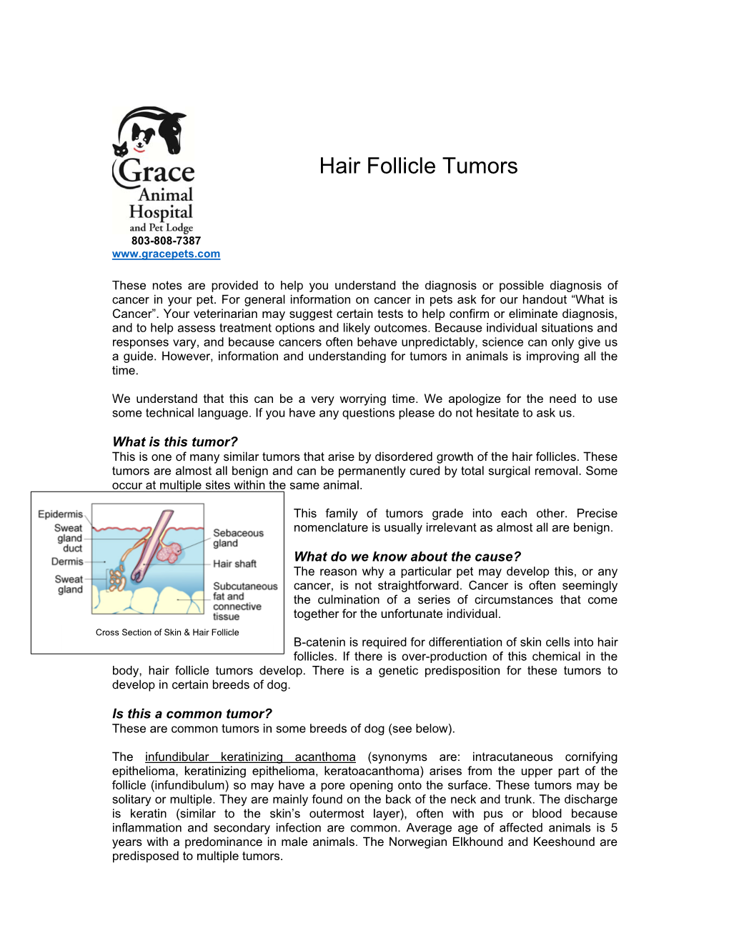 Hair Follicle Tumors