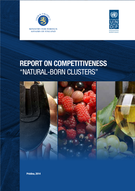 Report on Competitiveness “Natural-Born Clusters”