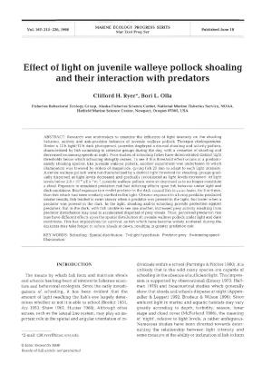 Effect of Light on Juvenile Walleye Pollock Shoaling and Their Interaction with Predators