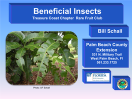 Beneficial Insects Treasure Coast Chapter Rare Fruit Club