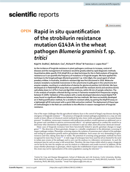 Rapid in Situ Quantification of the Strobilurin Resistance Mutation G143A in the Wheat Pathogen Blumeria Graminis F. Sp. Tritici