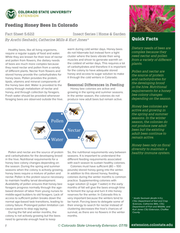 Quick Facts Feeding Honey Bees in Colorado