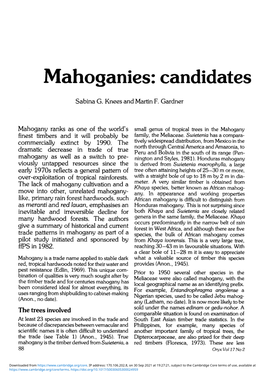 Mahoganies: Candidates