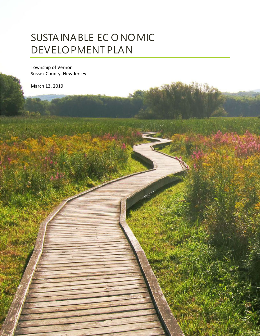 Sustainable Economic Development Plan