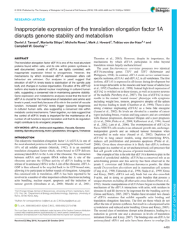 Inappropriate Expression of the Translation Elongation Factor 1A Disrupts Genome Stability and Metabolism Daniel J