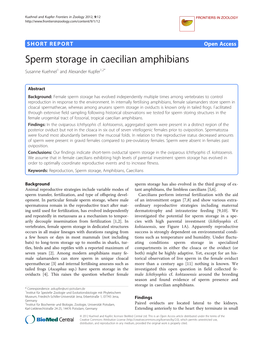 Sperm Storage in Caecilian Amphibians Susanne Kuehnel1 and Alexander Kupfer1,2*