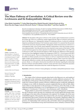 The Maze Pathway of Coevolution: a Critical Review Over the Leishmania and Its Endosymbiotic History