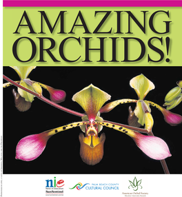 Amazing Orchids-Grades
