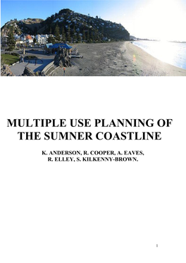Multiple Use Planning of the Sumner Coastline