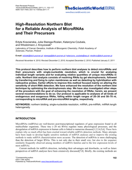 High-Resolution Northern Blot for a Reliable Analysis of Micrornas and Their Precursors