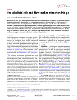 Phospholipid Ebb and Flow Makes Mitochondria Go