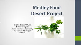 Medley Food Desert Project