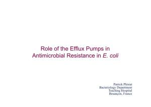 Role of the Efflux Pumps in Antimicrobial Resistance in E
