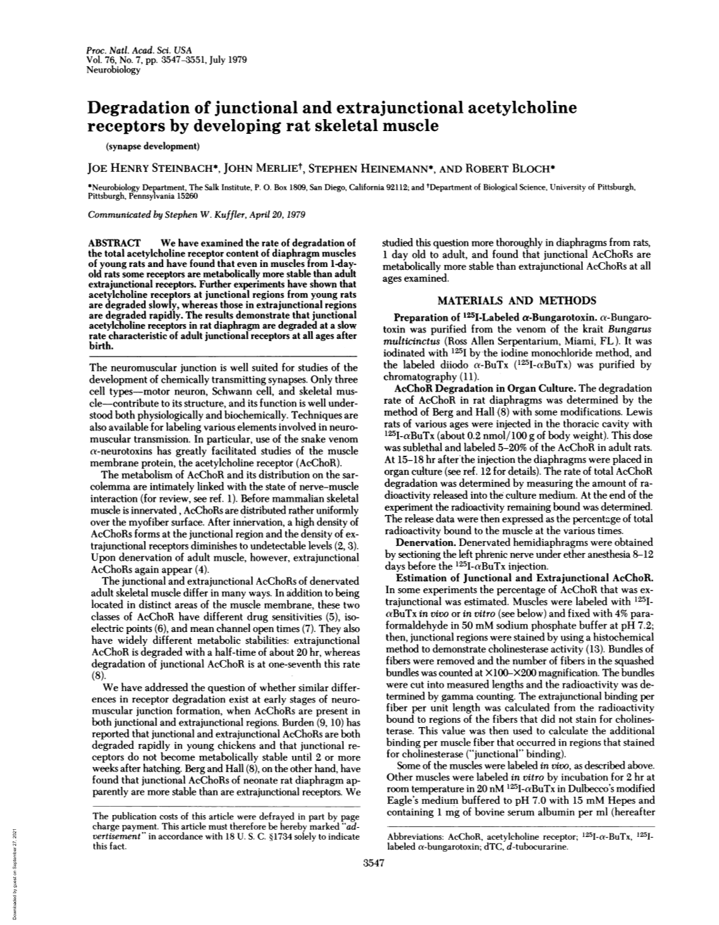 Degradation of Junctional and Extrajunctional Acetylcholine