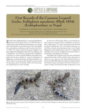 Cfreptiles & Amphibians