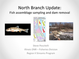 North Branch Update: Fish Assemblage Sampling and Dam Removal