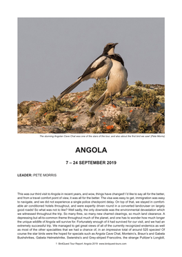 Angola Tour Report 2019