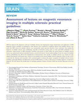 Assessment of Lesions on Magnetic Resonance Imaging in Multiple