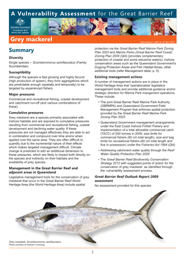 Grey Mackerel Information Valid As of Feb 2012