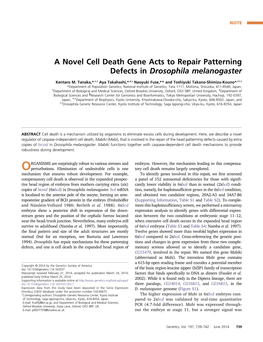 A Novel Cell Death Gene Acts to Repair Patterning Defects in Drosophila Melanogaster