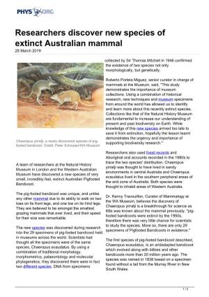 Researchers Discover New Species of Extinct Australian Mammal 25 March 2019