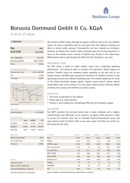 Borussia Dortmund Gmbh & Co. Kgaa