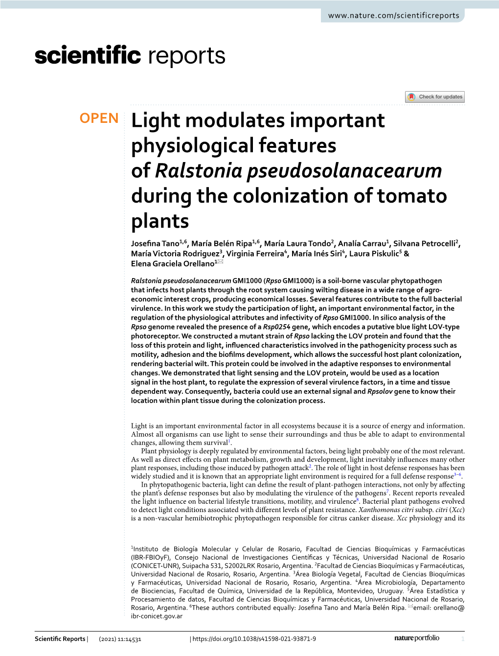 Light Modulates Important Physiological Features of Ralstonia