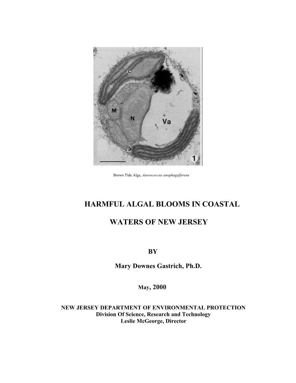 Harmful Algal Blooms in Coastal Waters of New Jersey Include Red Tides, Green Tides, Brown Tides and Other Harmful Species As Listed in Appendix I