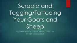 Scrapie and Tagging/Tattooing Your Goats and Sheep 2017 PRESENTATION for ASHTABULA COUNTY 4-H by STEPHANIE MAROUS What Is Scrapie?