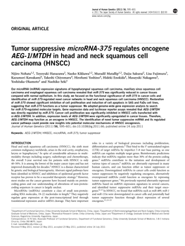 Tumor Suppressive Microrna-375 Regulates Oncogene AEG-1&Sol;MTDH in Head and Neck Squamous Cell Carcinoma (HNSCC)