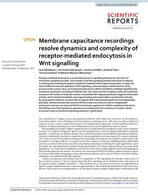 Membrane Capacitance Recordings Resolve Dynamics and Complexity Of