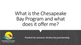 What Is the Chesapeake Bay Program and What Does It Offer Me?