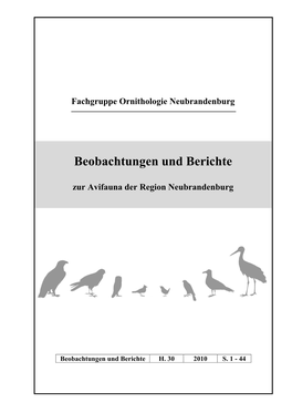 Beobachtungen Und Berichte