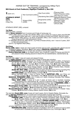 HORSE out of TRAINING, Consigned by Hilltop Farm the Property of Sally Hall Will Stand at Park Paddocks, Highflyer Paddock L, Box 256