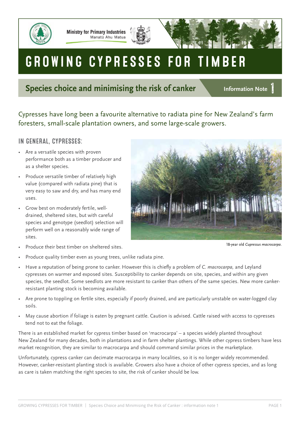 Cypress Species Choice and Minimising the Risk of Canker