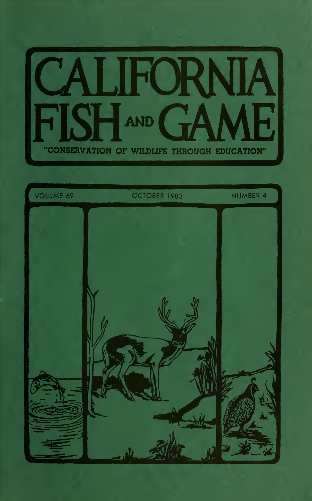 Fish-Game 