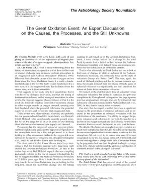 The Great Oxidation Event: an Expert Discussion on the Causes, the Processes, and the Still Unknowns