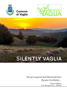 Silently Vaglia