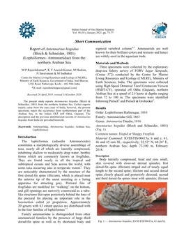 Short Communication Report of Antennarius Hispidus (Bloch