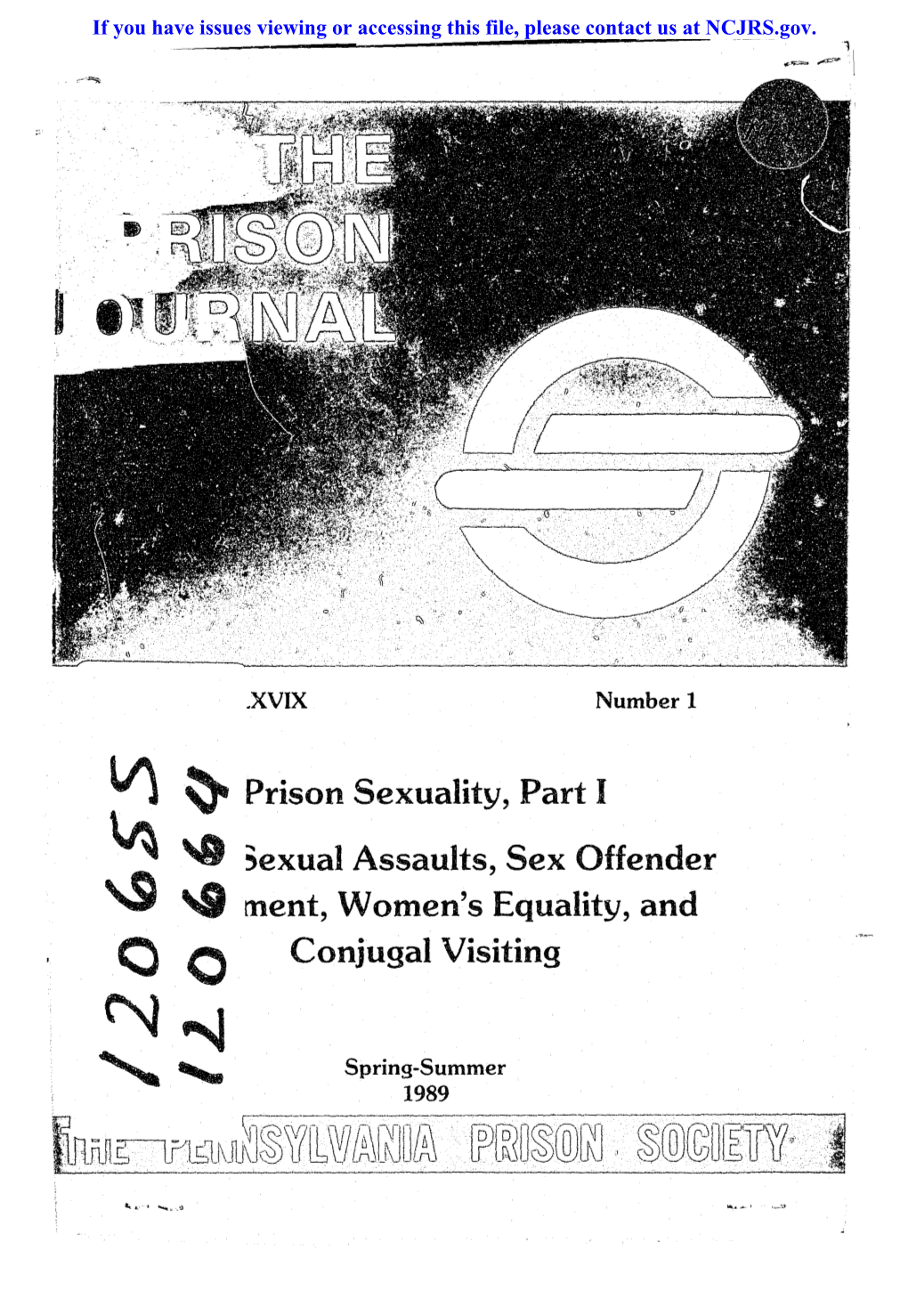 Prison Sexuality, Part I 