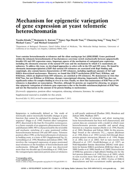 Mechanism for Epigenetic Variegation of Gene Expression at Yeast Telomeric Heterochromatin