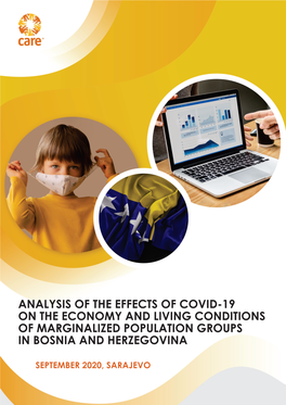 Analysis of the Effects of Covid-19 on the Economy and Living Conditions of Marginalized Population Groups in Bosnia and Herzegovina