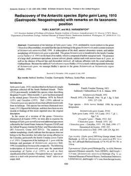 Rediscovery of the Antarctic Species Sipho Gaini Lamy, 1910 (Gastropoda: Neogastropoda) with Remarks on Its Taxonomic Position