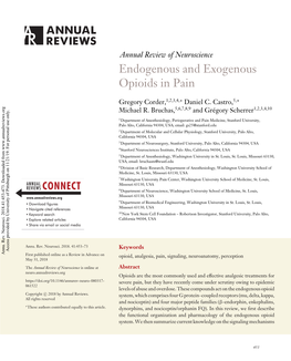 Endogenous and Exogenous Opioids in Pain