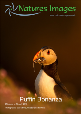 Puffin Bonanza 27Th June to 5Th July 2017 Photographic Tour with Tour Leader Ellie Rothnie