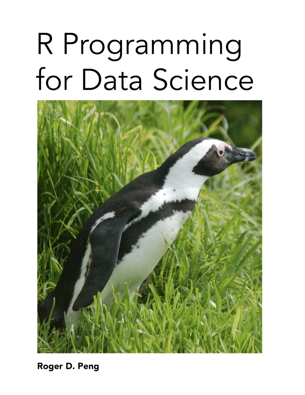 R Programming for Data Science