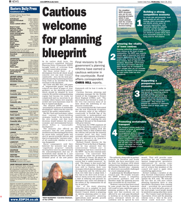Cautious Welcome for Planning Blueprint